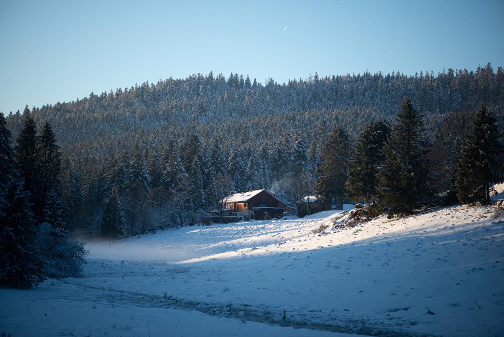 Gite La Ramee Ban-sur-Meurthe-Clefcy Экстерьер фото