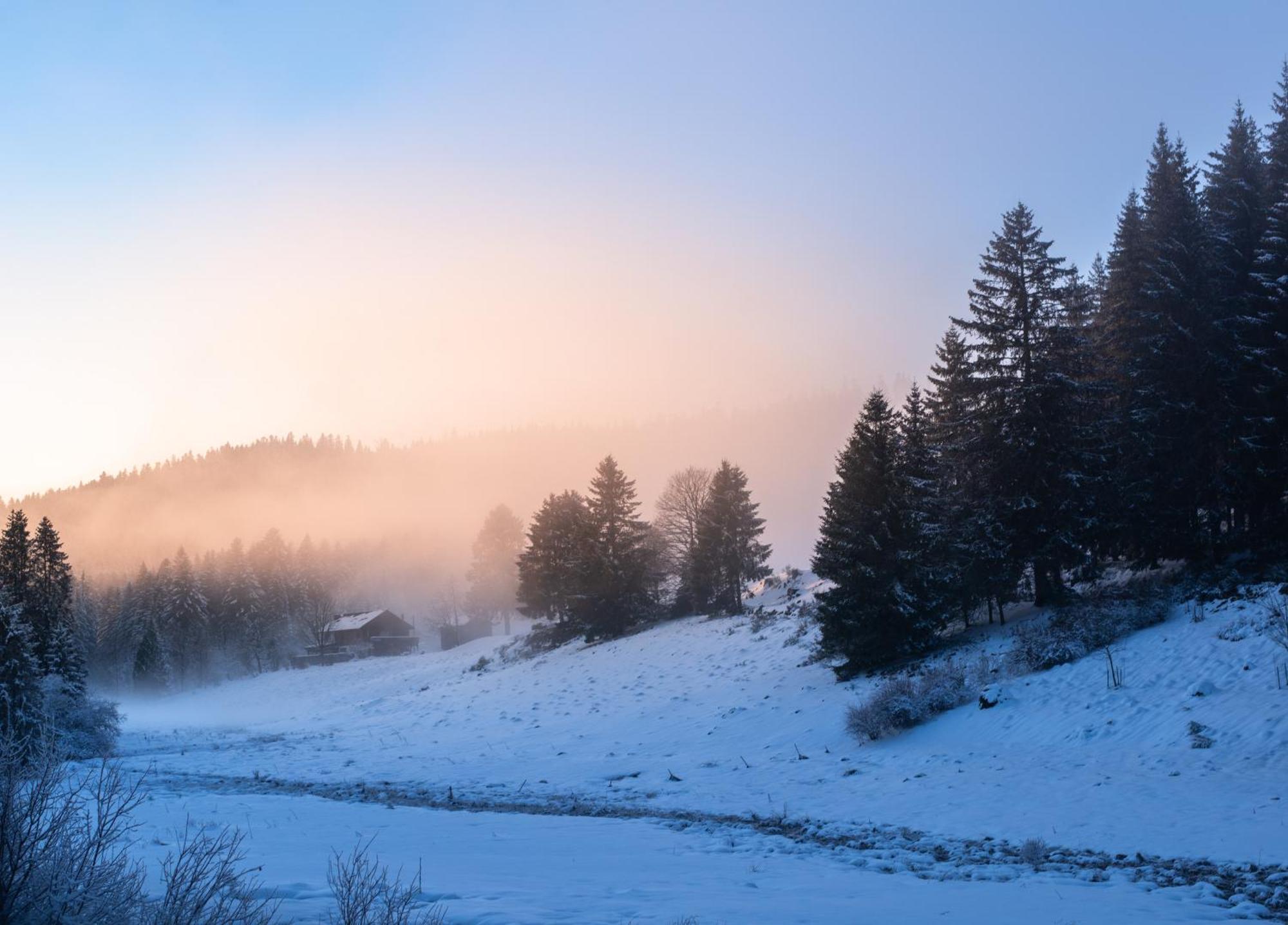 Gite La Ramee Ban-sur-Meurthe-Clefcy Экстерьер фото